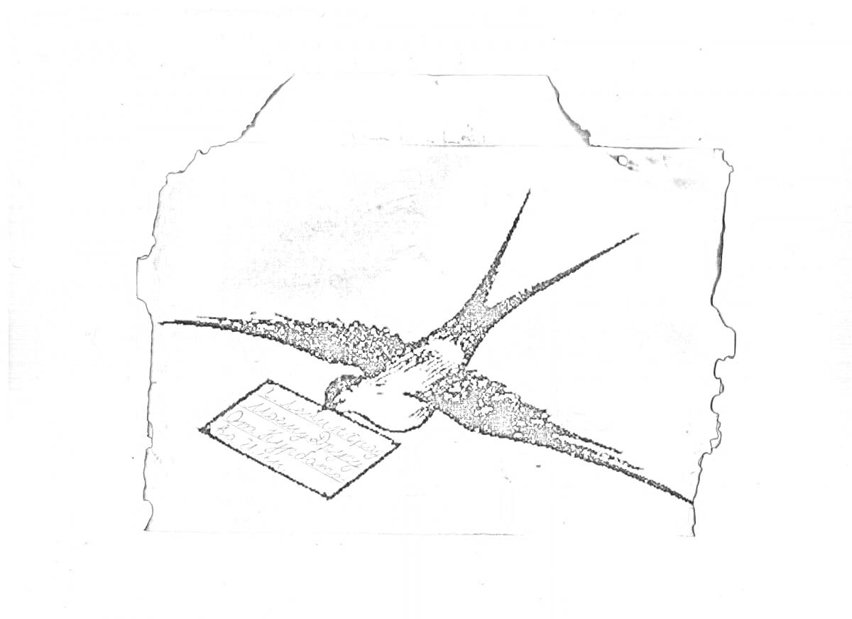 Раскраска Ласточка с письмом в клюве