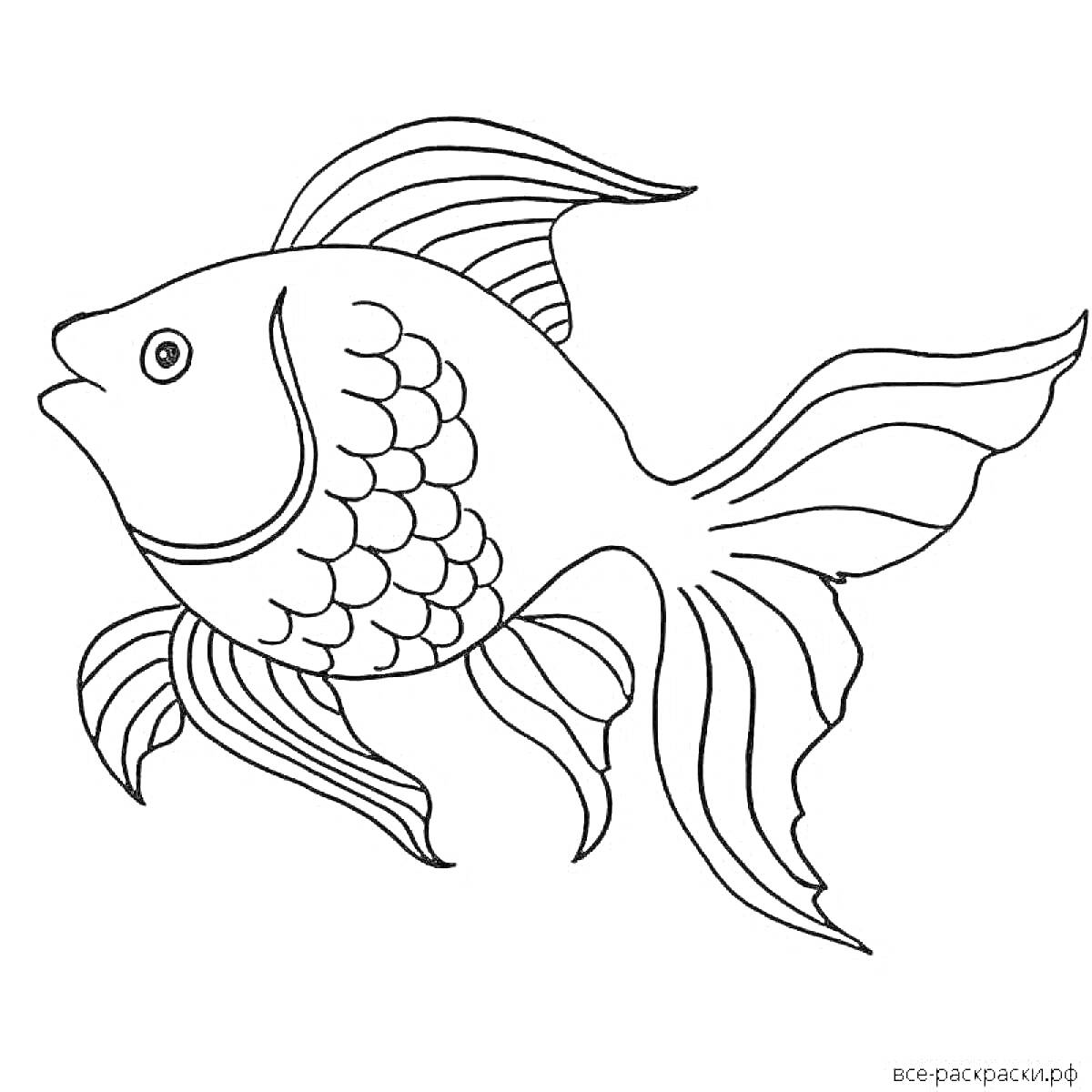 На раскраске изображено: Для малышей, Золотая рыбка, Рыба, Плавники, Море, Подводный мир