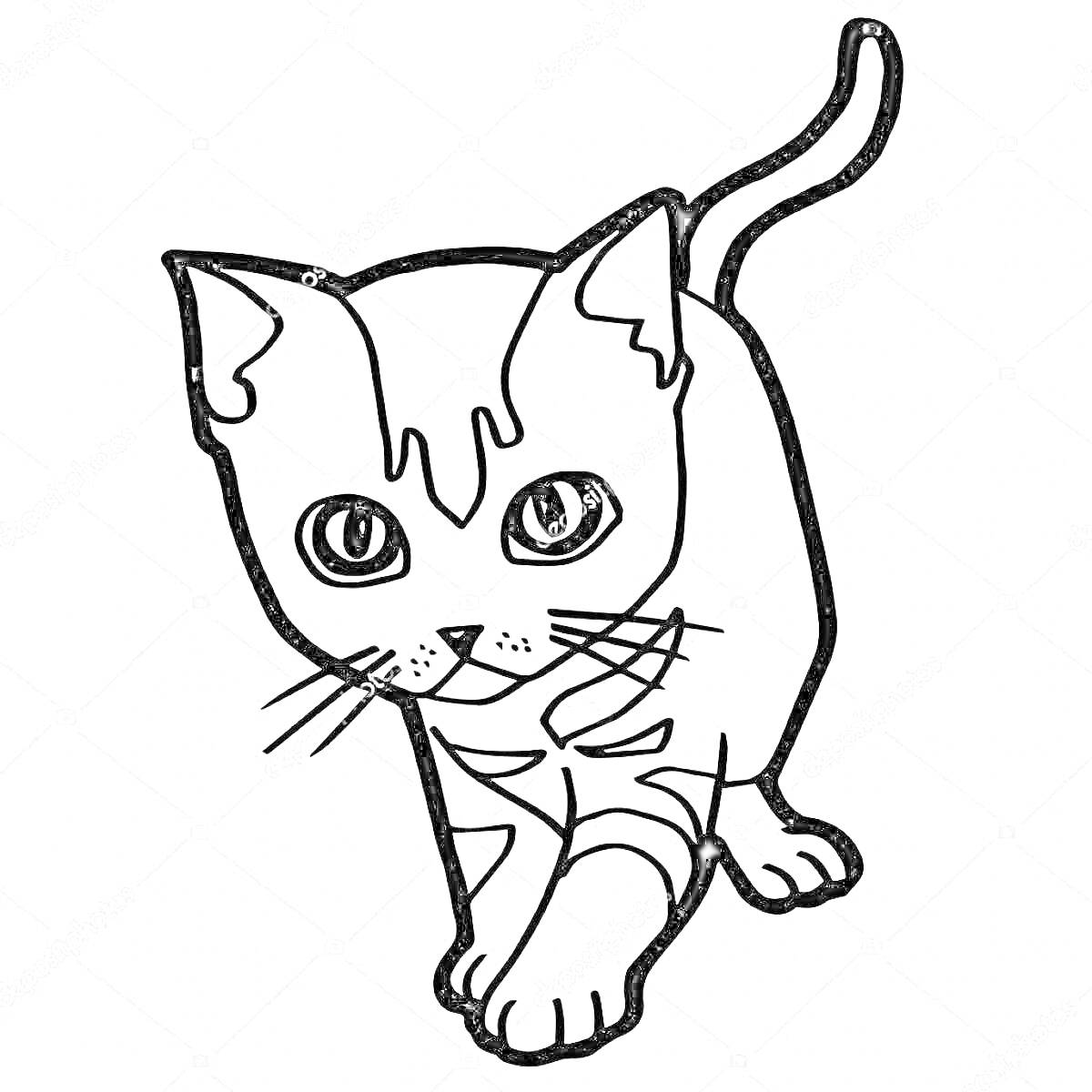 Раскраска Раскраска с изображением кота, идущего вперед, с большими глазами и поднятым хвостом, внимательная поза