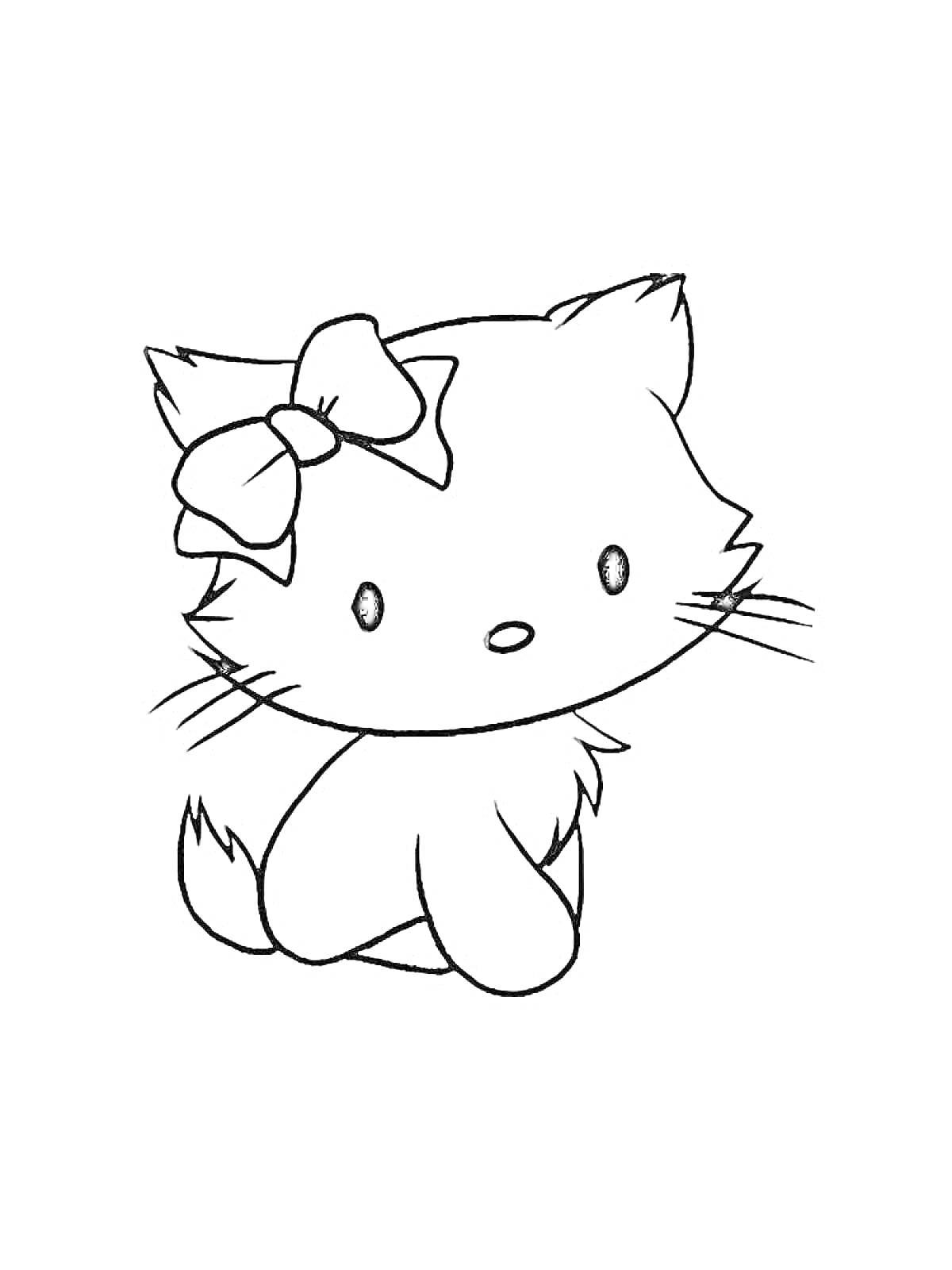 Раскраска Котик с бантиком на голове