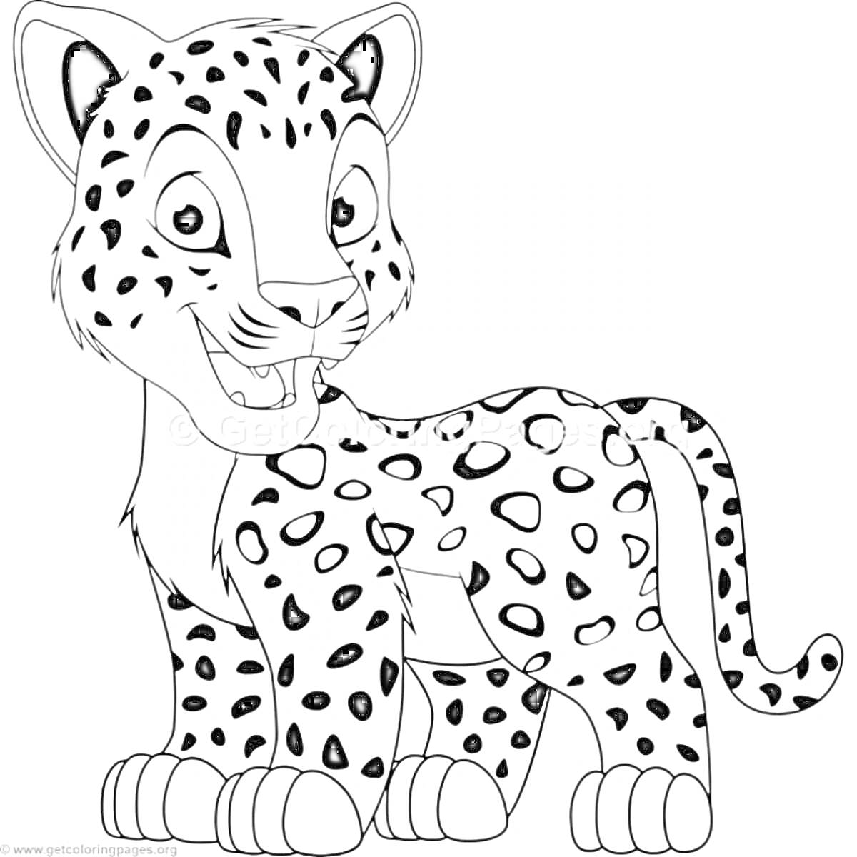 На раскраске изображено: Королевский гепард, Пятна, Мультипликационный стиль, Гепард, Улыбка