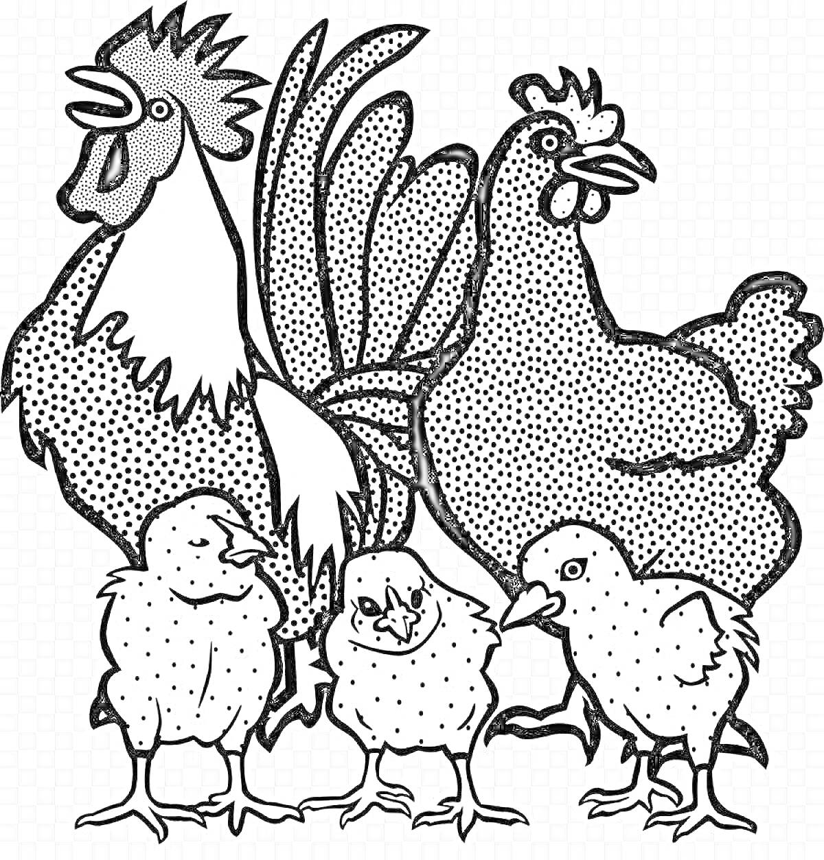 На раскраске изображено: Петух, Цыплята, Домашние птицы, Семья