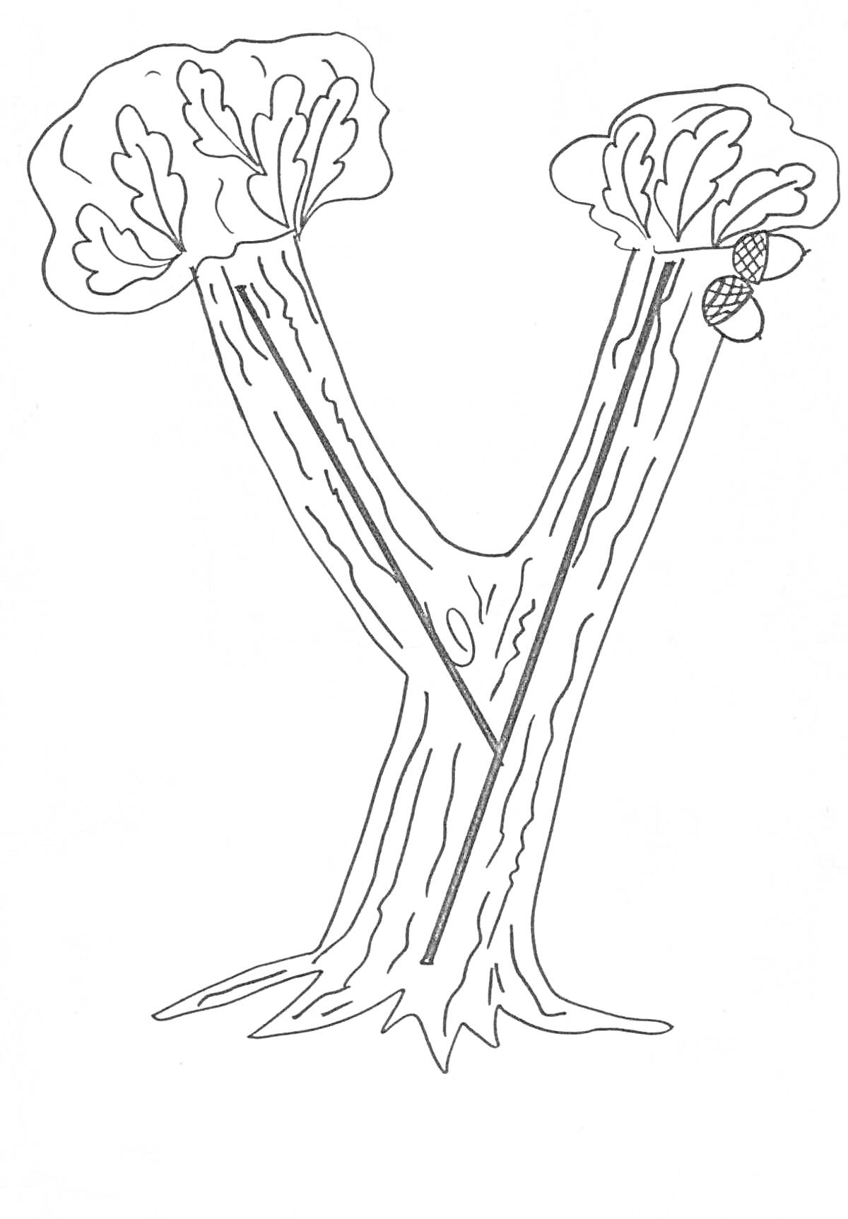 Раскраска Буква Y в виде дерева с листвой и шишками