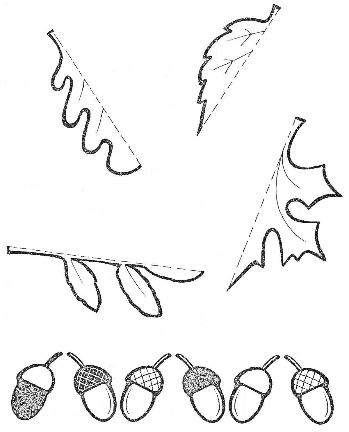 На раскраске изображено: Листья, Желуди, Осень, Природа
