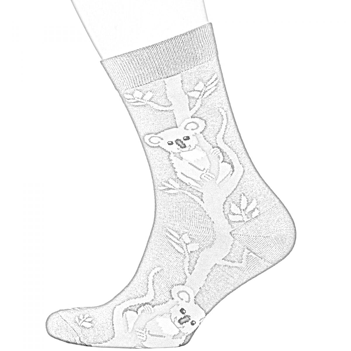 На раскраске изображено: Носки, Коала, Одежда