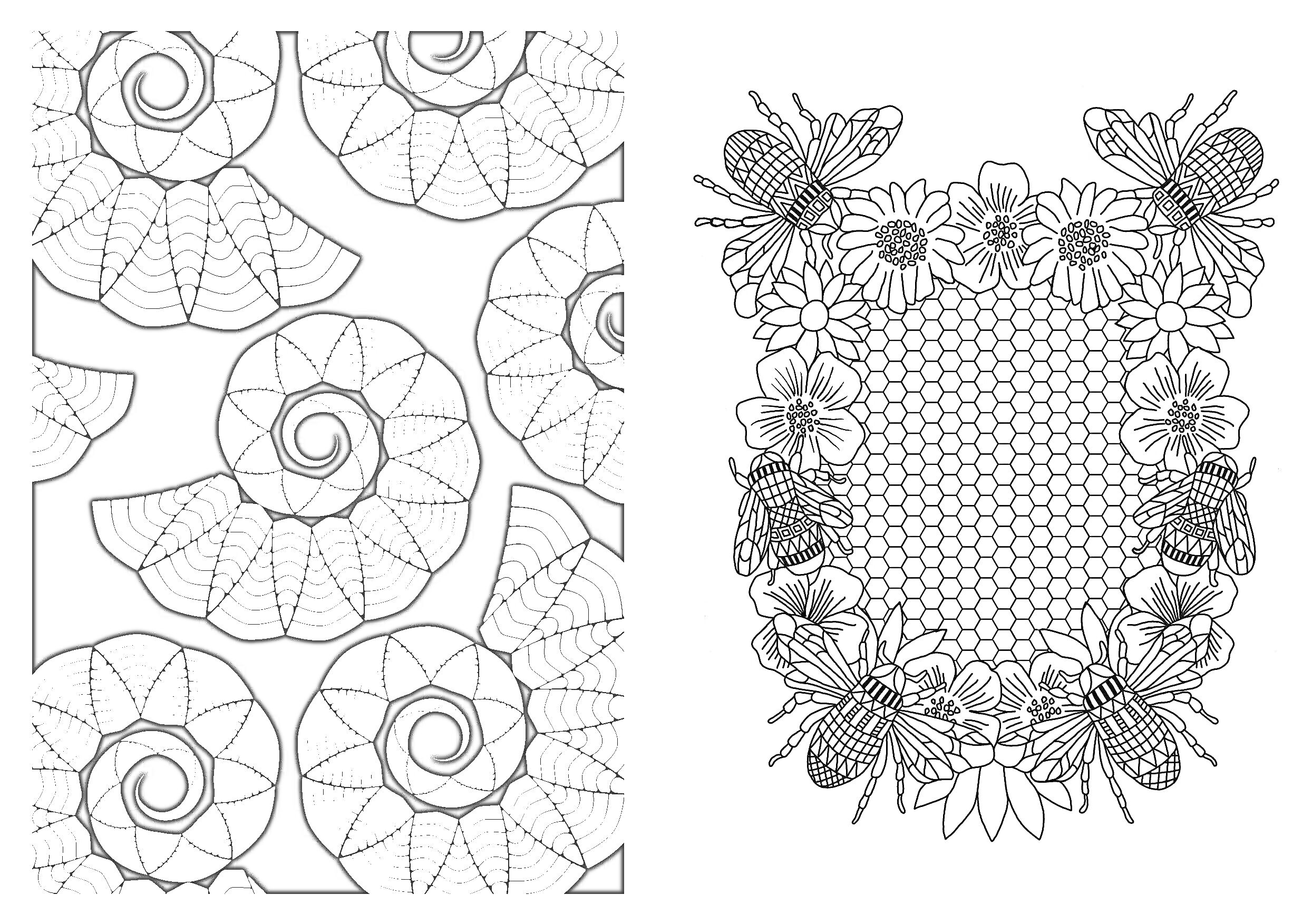 Раскраска узоры спиралей и рамка из цветов и пчел