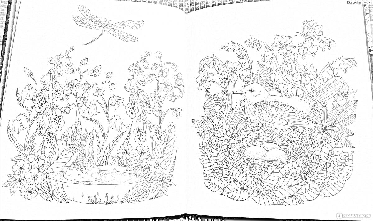 На раскраске изображено: Пруд, Цветы, Гнездо, Птица, Яйца, Ягоды, Листья, Заколдованный лес