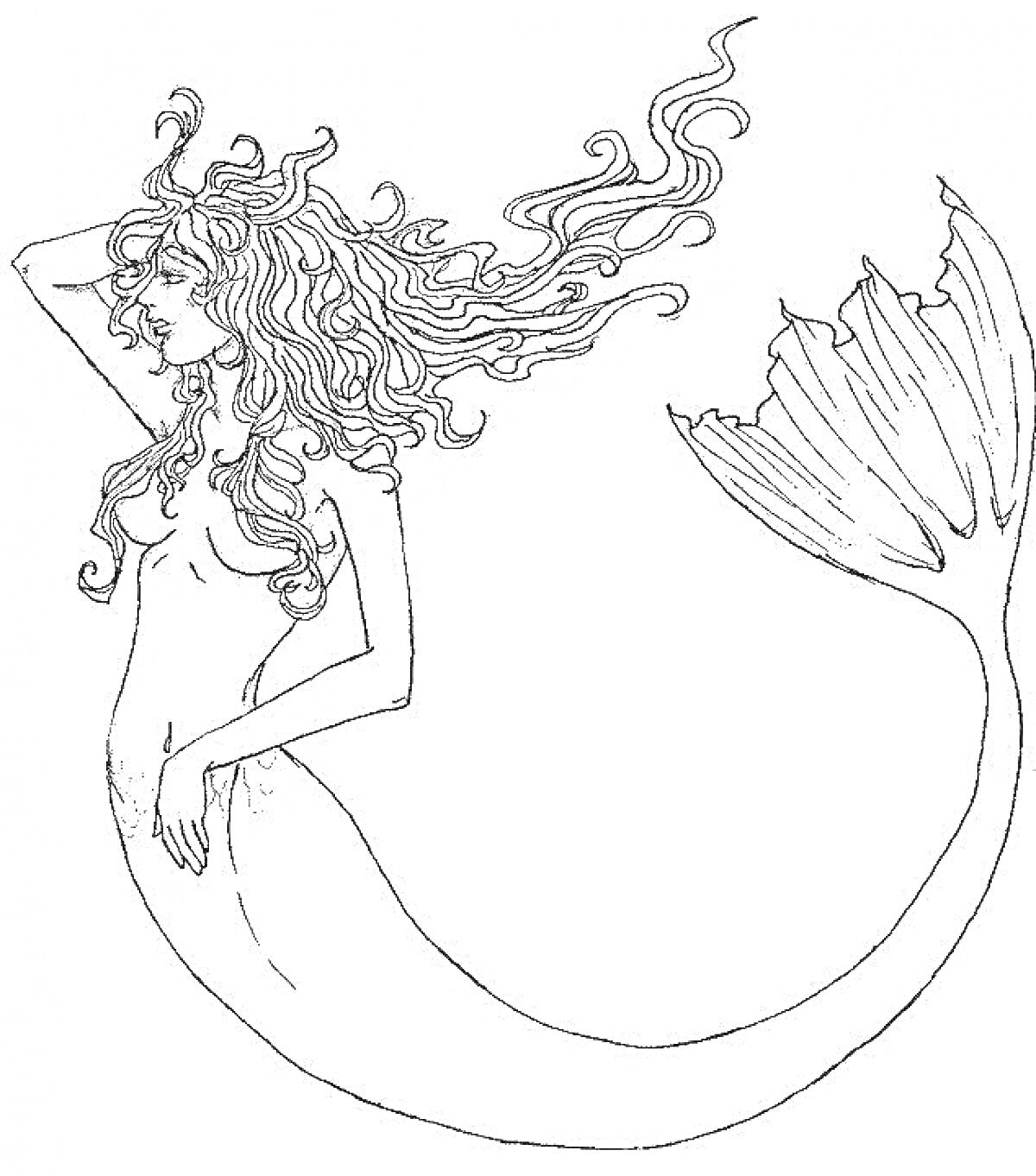 На раскраске изображено: Сирена, Русалка, Длинные волосы, Волнистые волосы, Хвост, Подводный мир