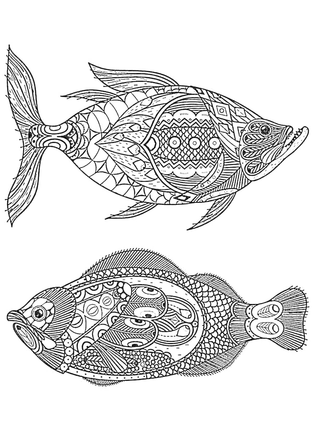 Раскраска Антистресс раскраска с двумя декоративными рыбами с узорами