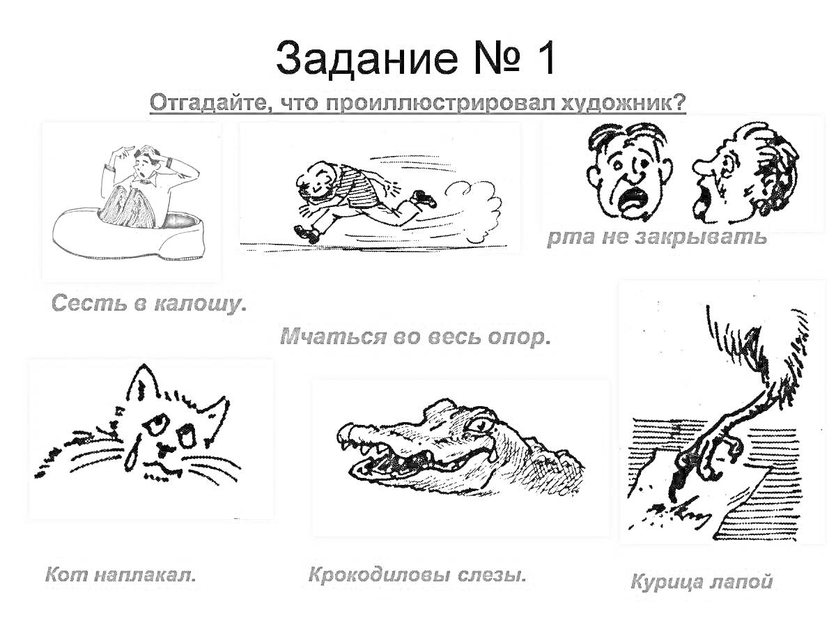 Сесть в калошу, Мчаться во весь опор, Рты не закрывать, Кот наплакал, Крокодиловы слезы, Курица лапой