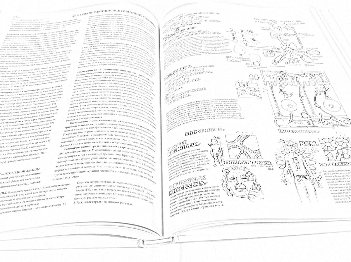 На раскраске изображено: Книга, Анатомия, Текст, Страницы, Учебник, Наука