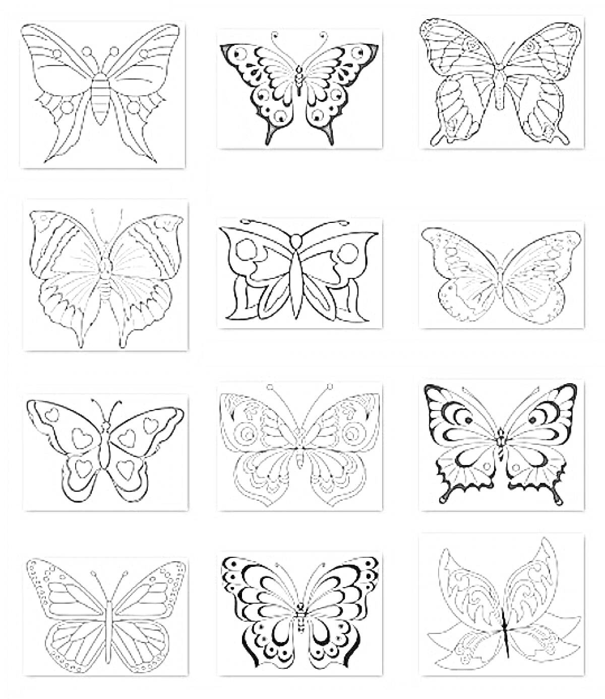 Раскраска Раскраски бабочек с разнообразными узорами и формами крыльев