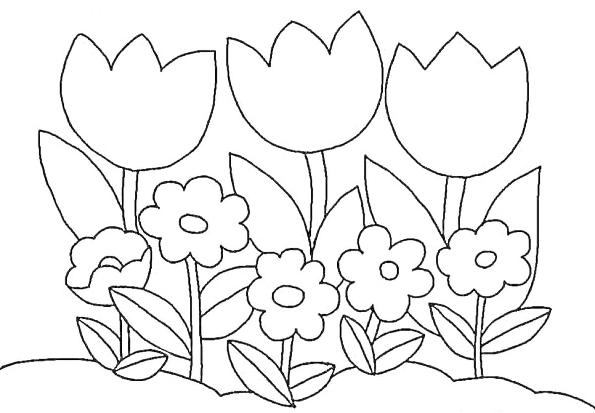 На раскраске изображено: Цветы, Тюльпаны, Листья, Клумба, Сад, Для детей, Ромашка