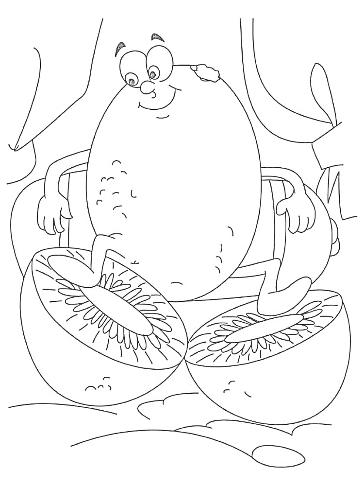 Раскраска Весёлый киви на разрезанных плодах