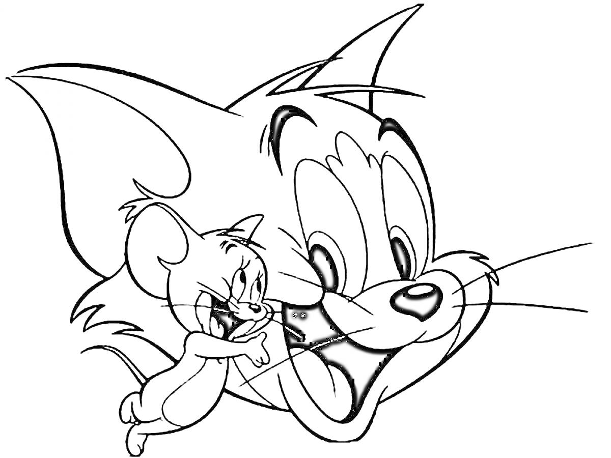 Раскраска Том и Джерри: Джерри цепляется за морду Тома