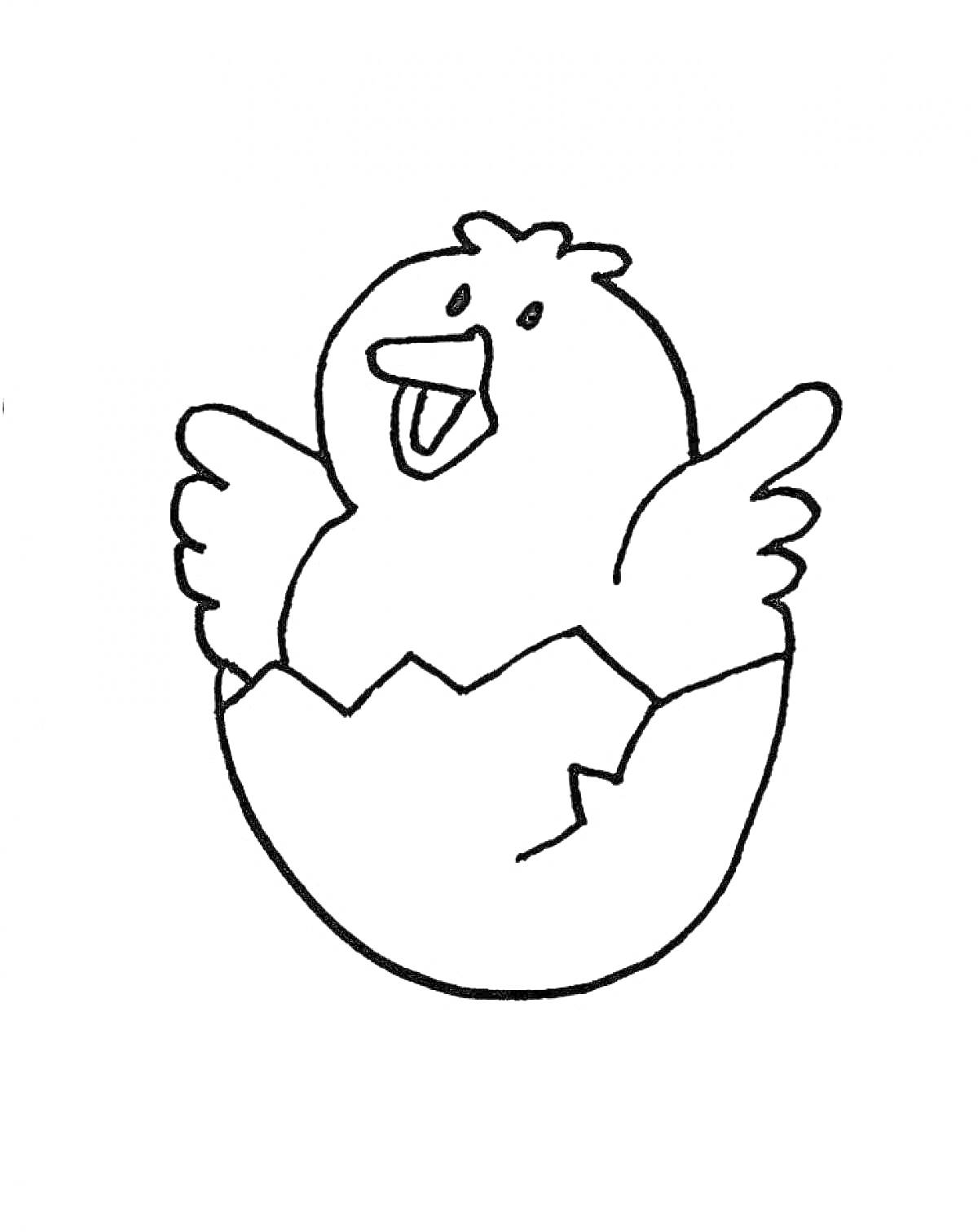 Раскраска Цыпленок в скорлупе с поднятыми крыльями