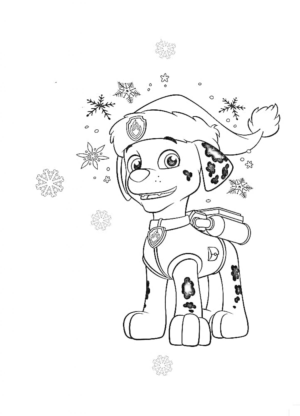 Раскраска щенок Далматинец в шапке, снежинки, радостная улыбка