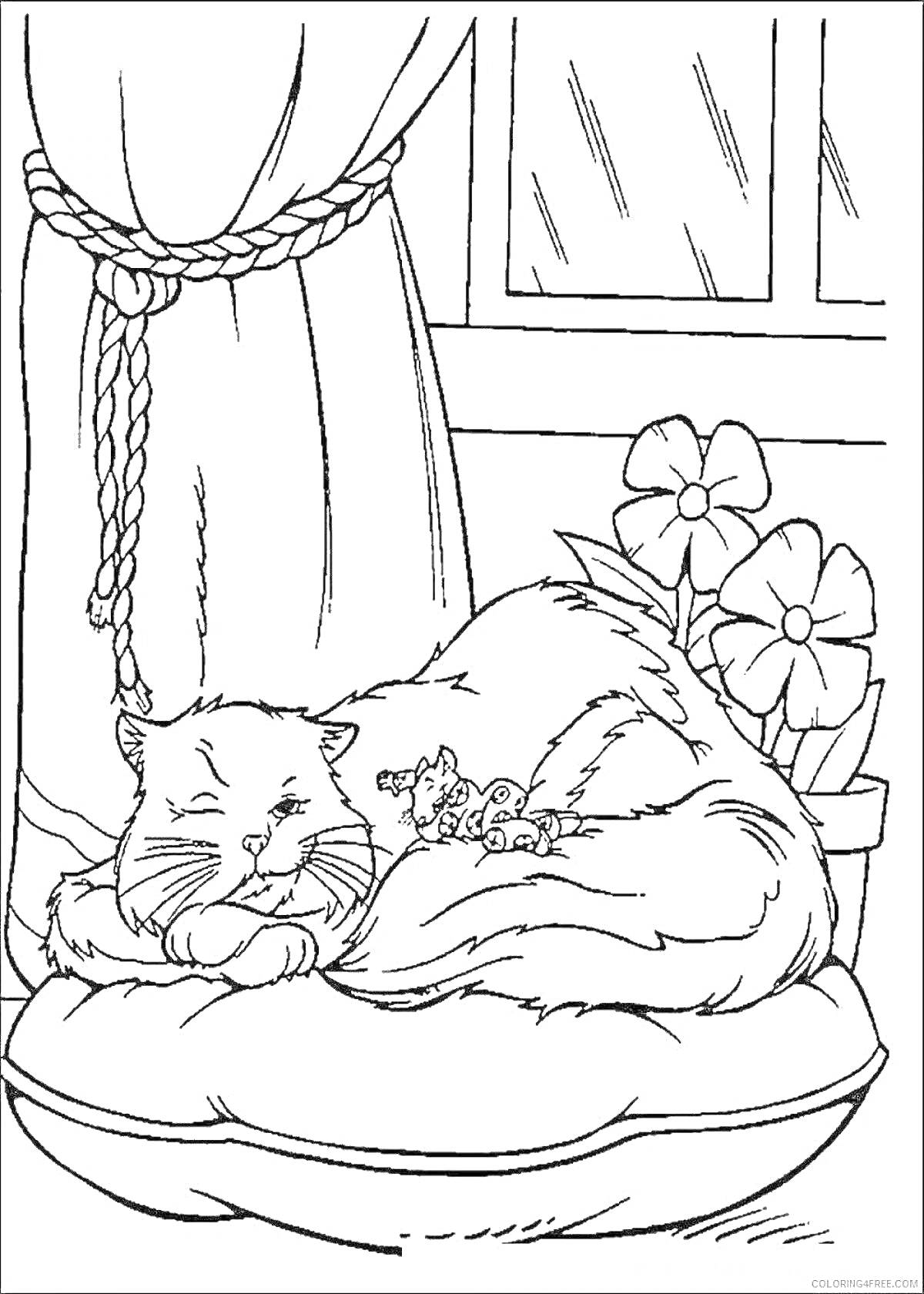 Кошка спит на подушке, окно с занавеской, цветы в вазоне
