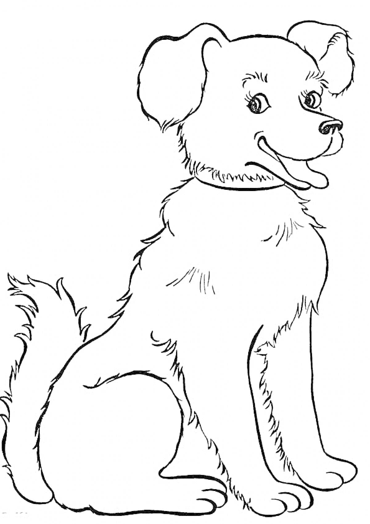 Раскраска Сидящий щенок с поднятым языком
