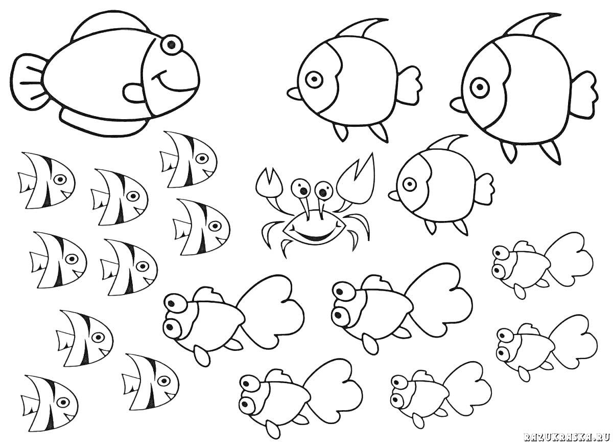 На раскраске изображено: Краб, Морские животные, Подводный мир, Море, Морская жизнь, Рыба
