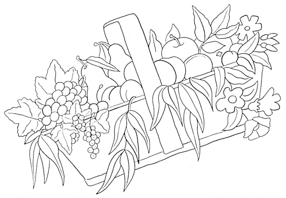 Раскраска Корзина с фруктами, цветами и листьями