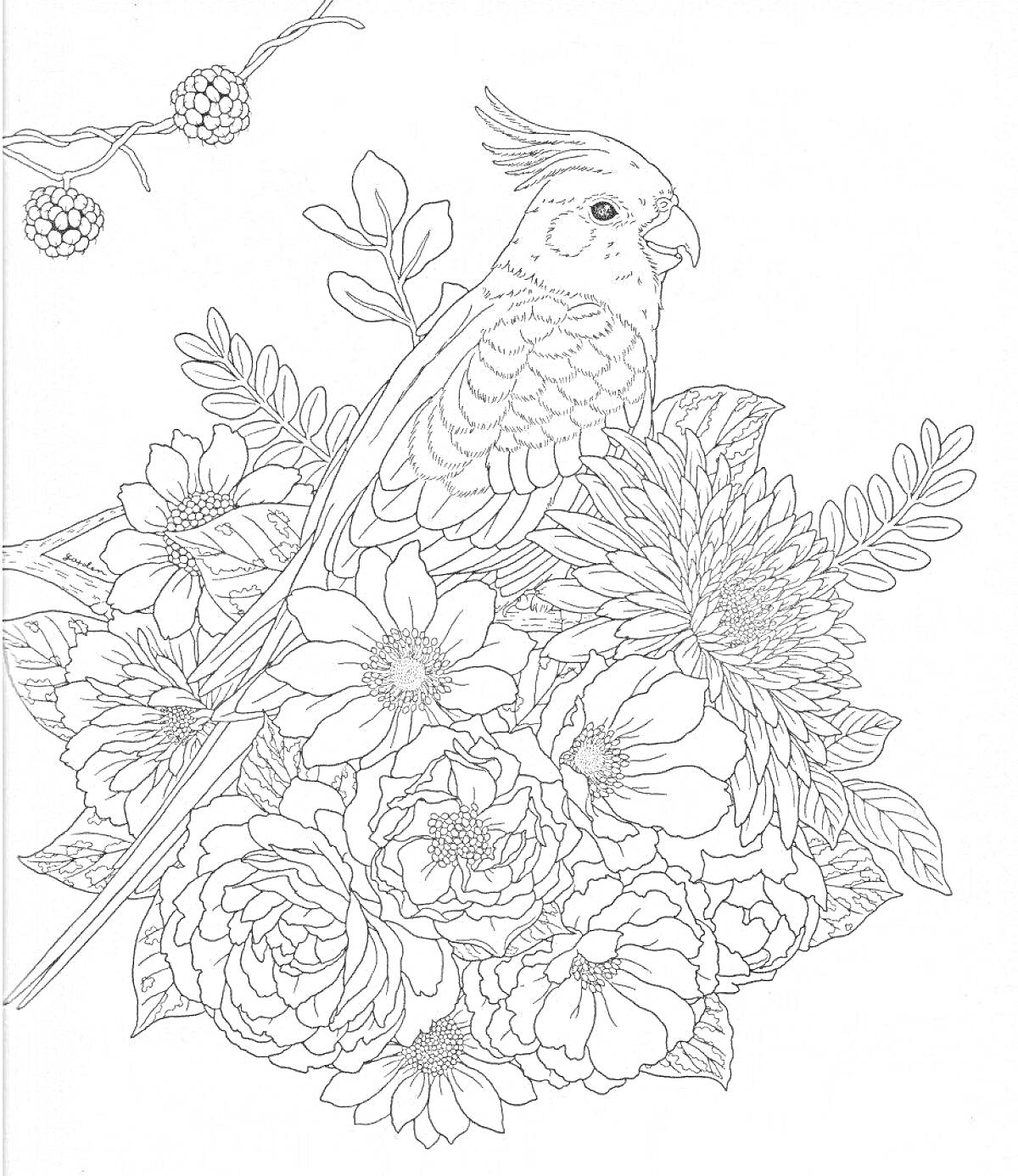Раскраска Попугай на ветке, окружённый цветами и листьями
