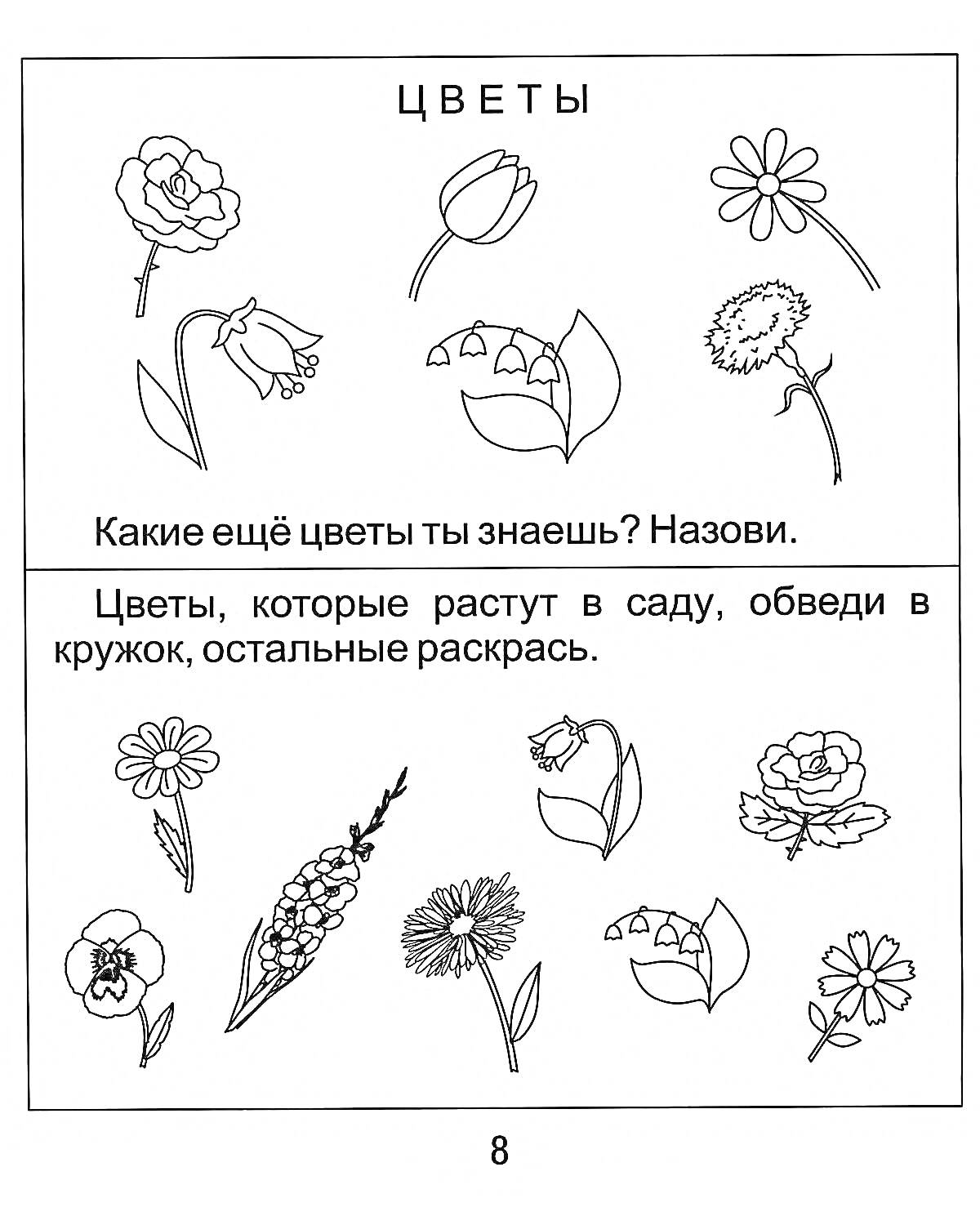 Цветы. Верхняя часть: мак, колокольчик, ромашка, одуванчик, ландыш. Нижняя часть: бархатцы, гладиолус, гербера, роза, хризантема, маргаритка.