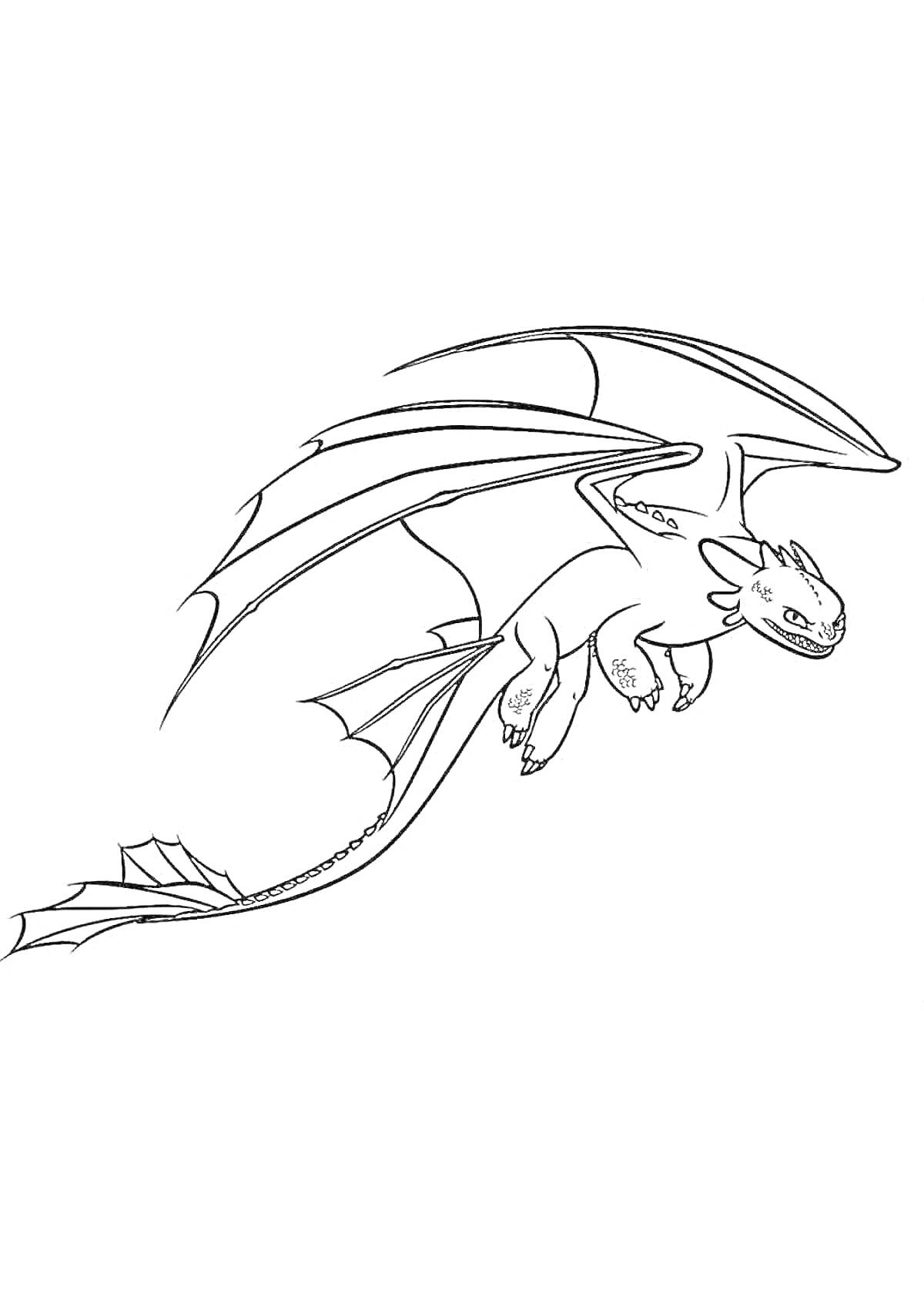 Раскраска Летающий дракон Ночная фурия с распростёртыми крыльями