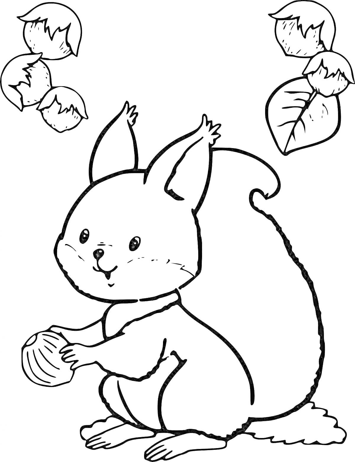 На раскраске изображено: Орех, Листья, Для детей, Животные, Белка