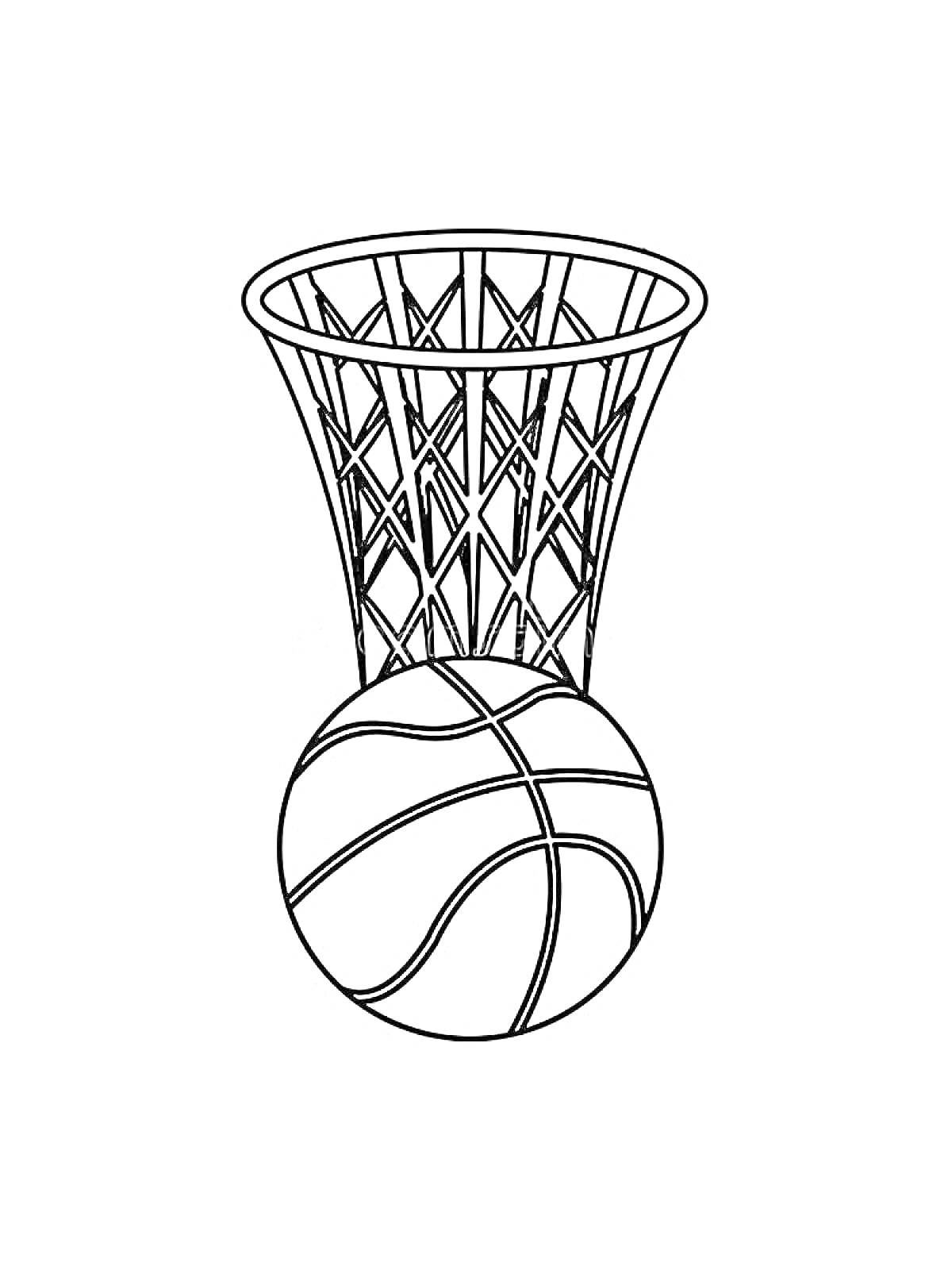 Раскраска Баскетбольный мяч перед корзиной
