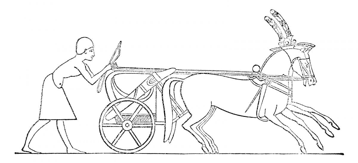 Раскраска Мужчина с колесницей и двумя лошадьми на Олимпийских играх в Древней Греции.