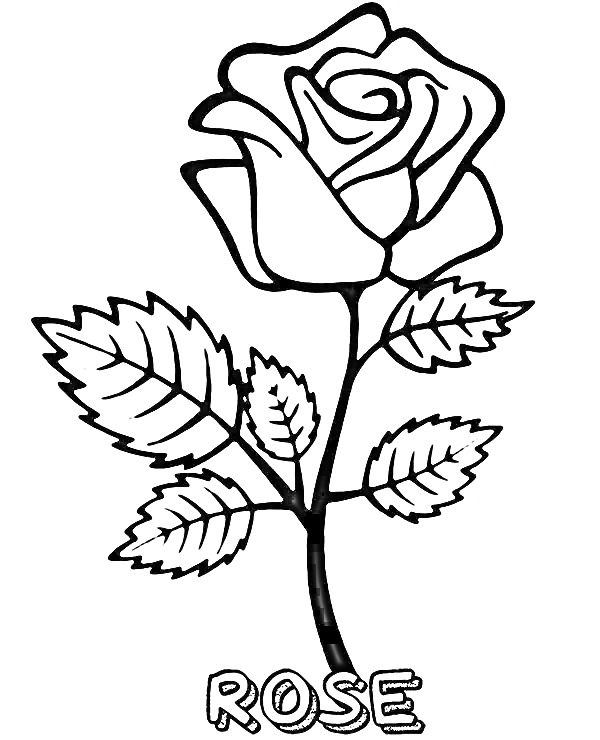 Раскраска Роза с листьями и надписью 