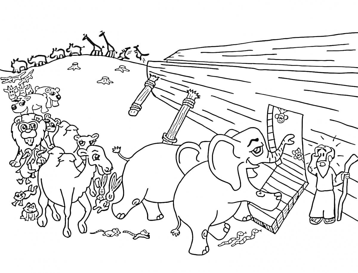 Раскраска Ной и животные перед ковчегом, слоны поднимаются по лестнице, верблюды и львы ждут своей очереди, жирафы и другие животные на заднем плане.