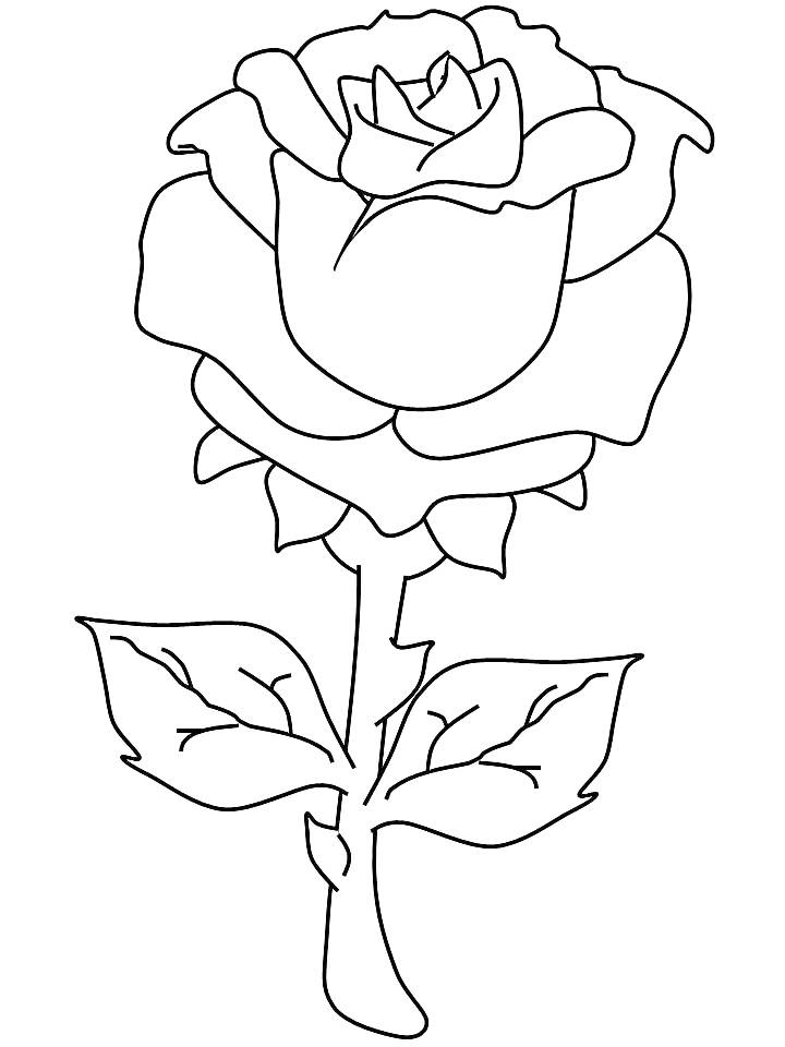 Раскраска Роза с двумя крупными листьями и стеблем