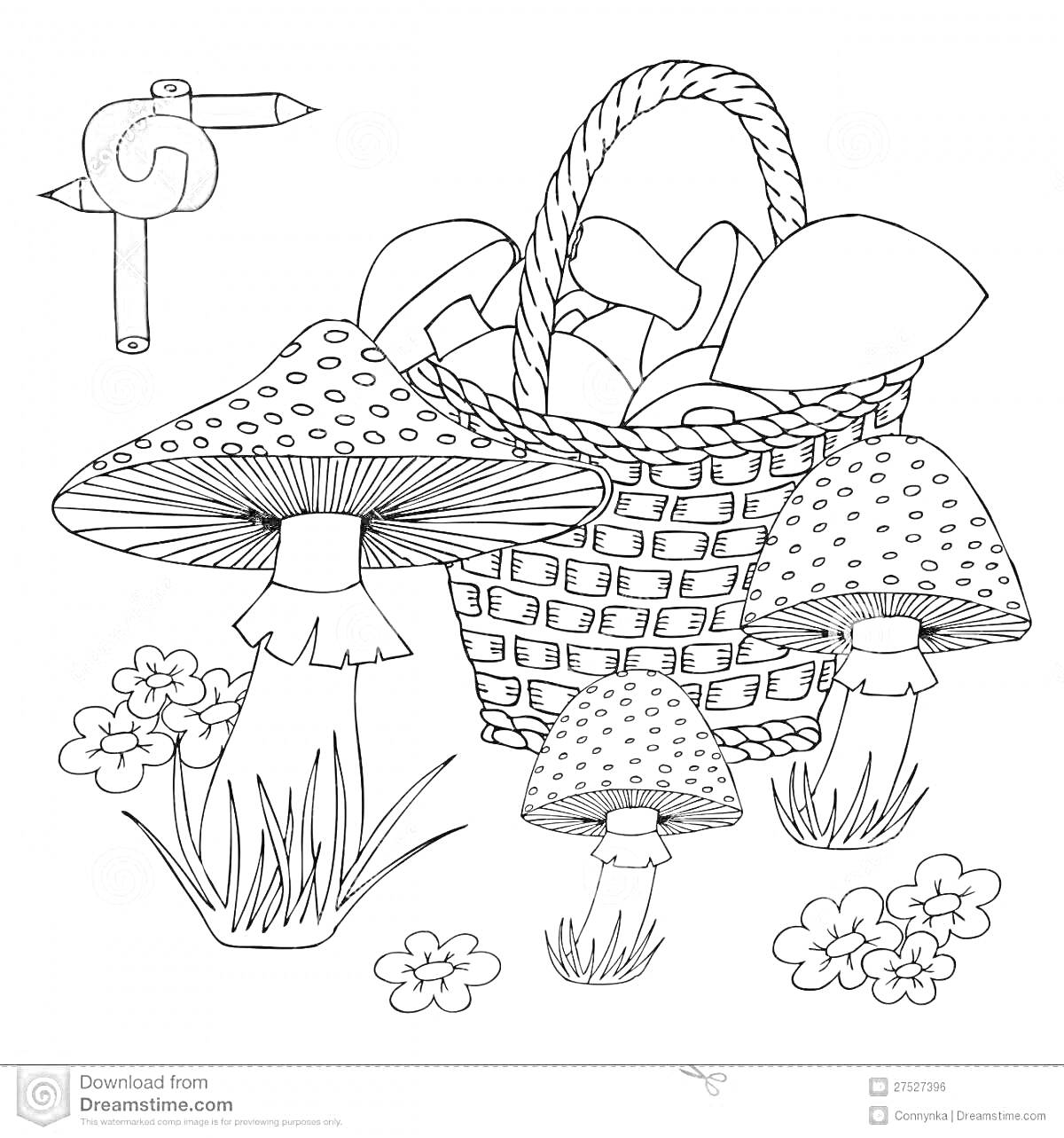 Корзина с грибами, Amanita muscaria, грибы в траве, цветы