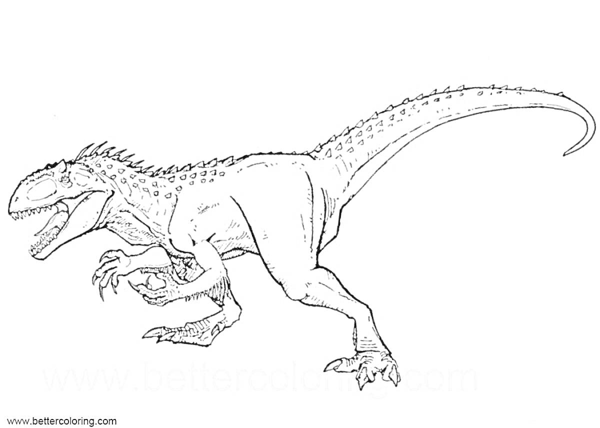 На раскраске изображено: Индораптор, Динозавр, Атака, Зубы, Когти, Хвост