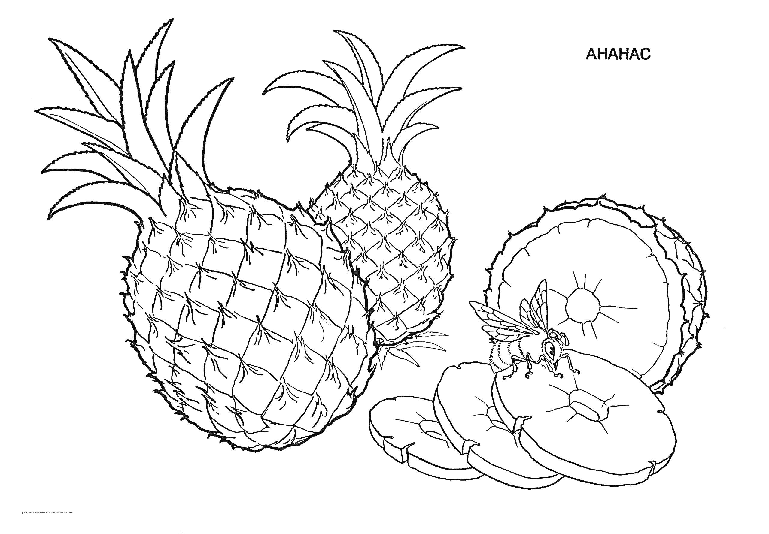 Ананасы с пчелой и ломтиками ананаса