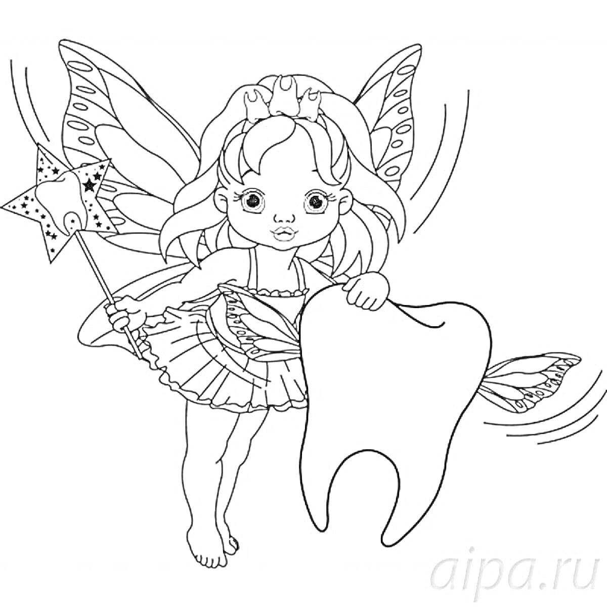 Раскраска Фея с крыльями, волшебной палочкой и зубом