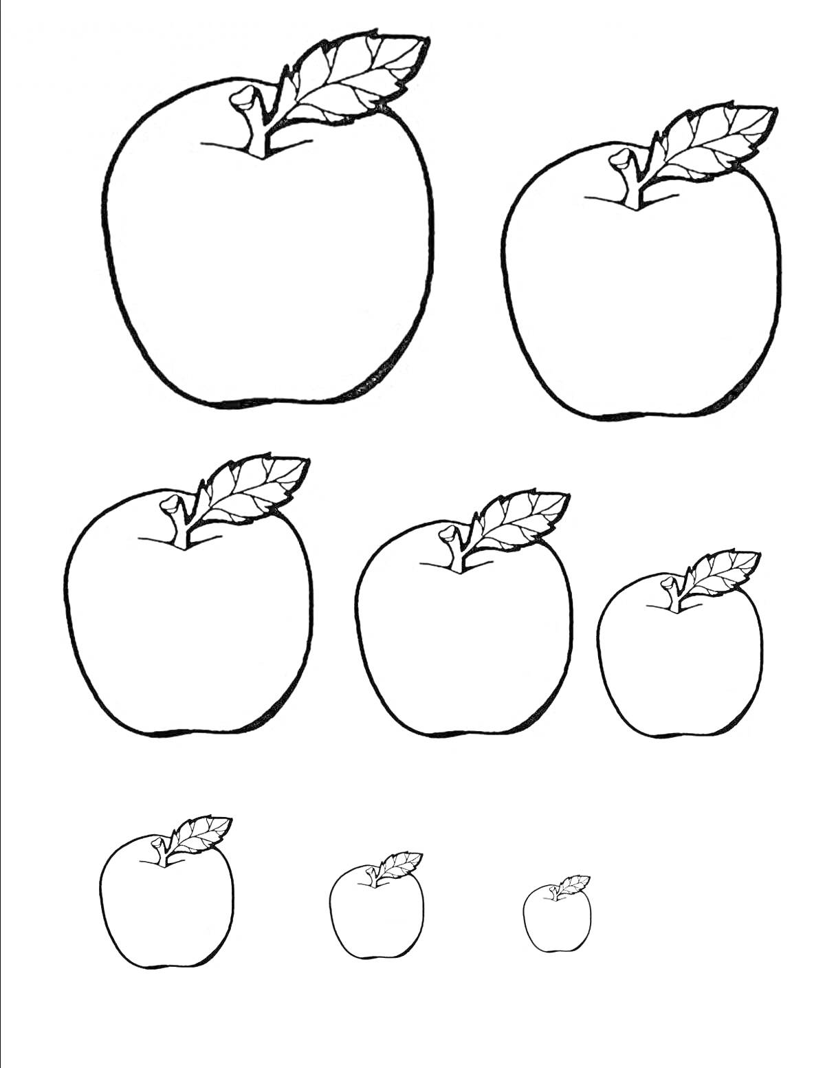 Раскраска Яблоки разных размеров: большое, среднее, маленькое.