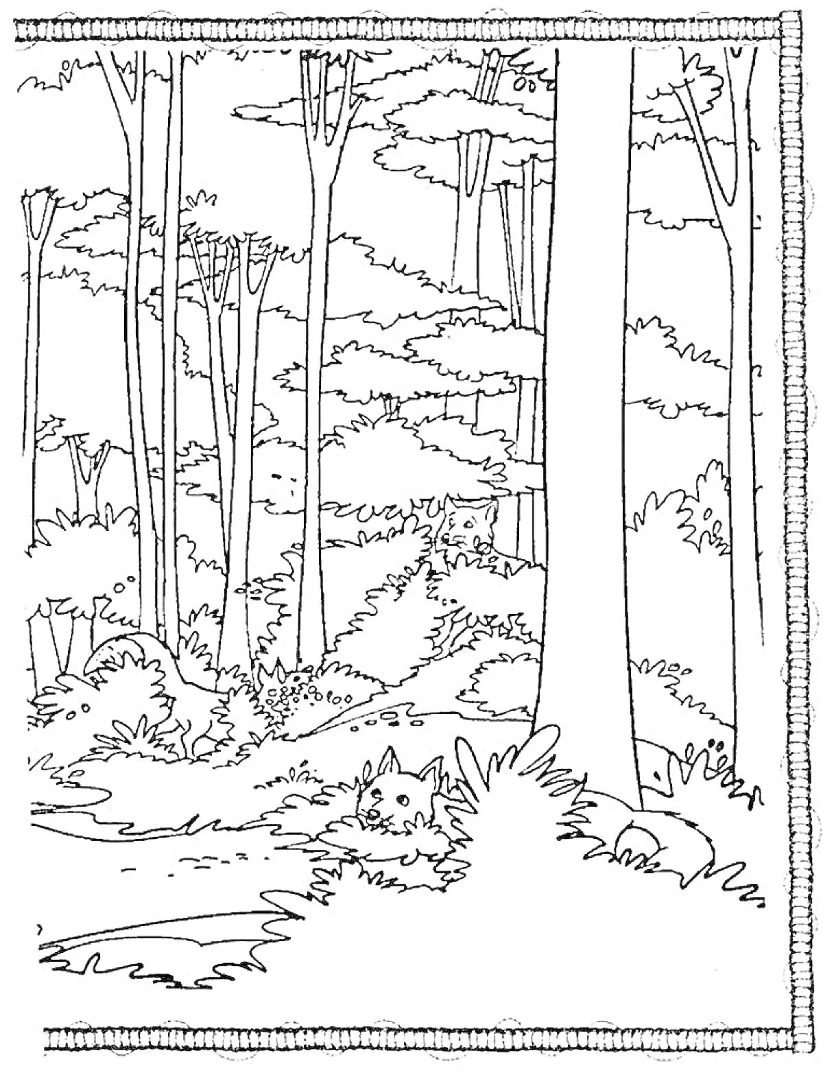 Раскраска Лесные деревья в тайге с кустами и спрятавшимся волком на переднем плане
