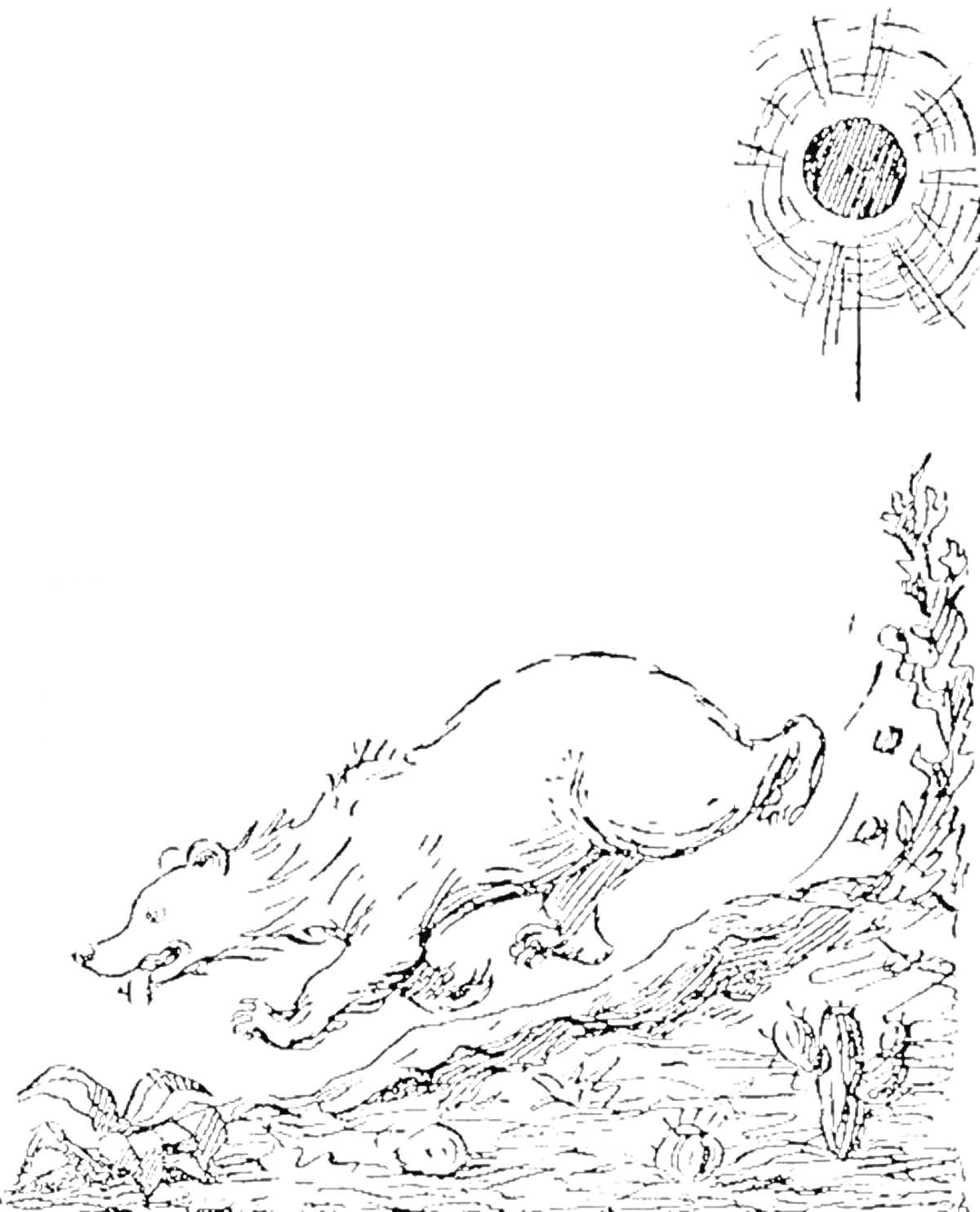 На раскраске изображено: Медведь, Краденое солнце, Солнце, Растительность, Трава, Кусты, Природа