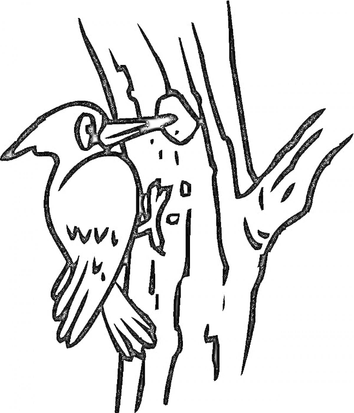 Раскраска Дятел на дереве, долбящий отверстие