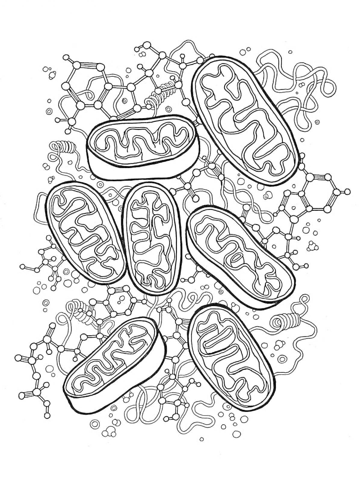 Раскраска Митохондрии на фоне молекулярных структур