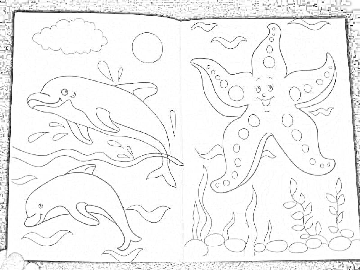 На раскраске изображено: Дельфины, Море, Солнце, Водоросли, Камни, Морские животные, Облака, Морские звезды