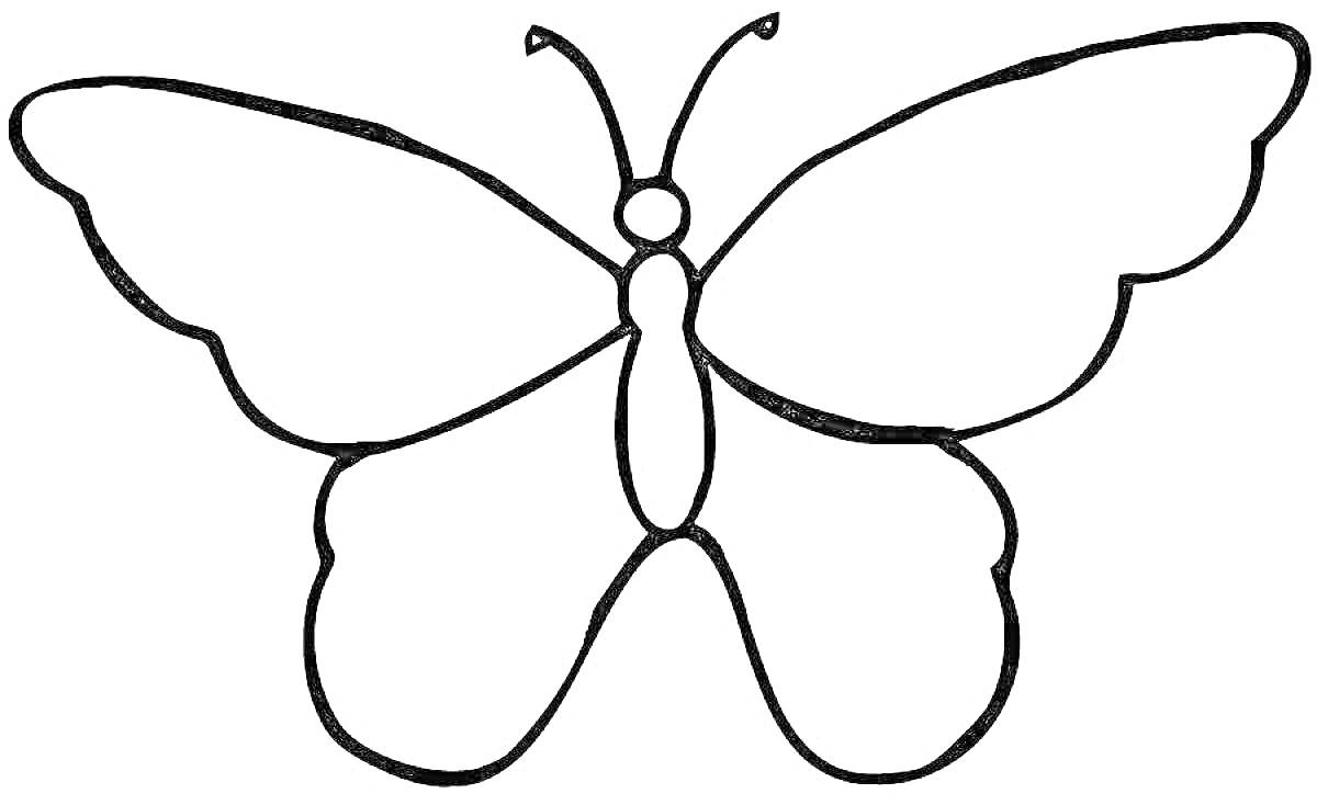 Раскраска Шаблон бабочка с антеннами, двумя верхними и двумя нижними крыльями, туловищем и головой