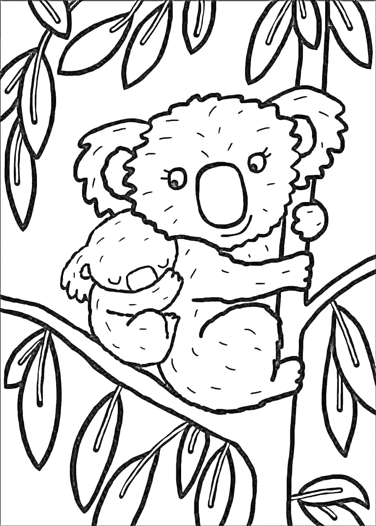 Раскраска Коала с детенышем на дереве