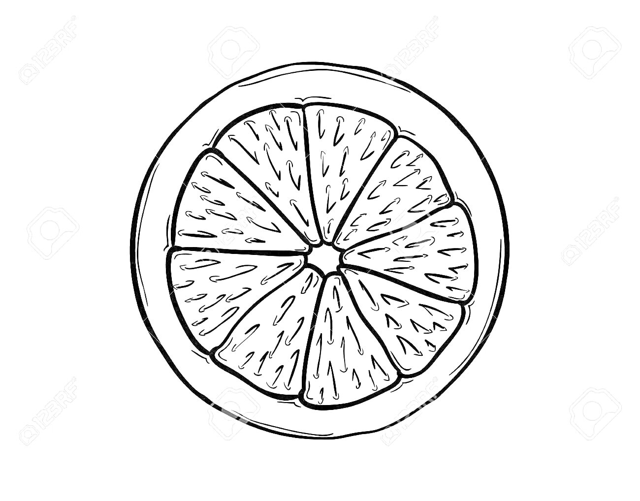 Раскраска Дольки апельсина в круглом разрезе