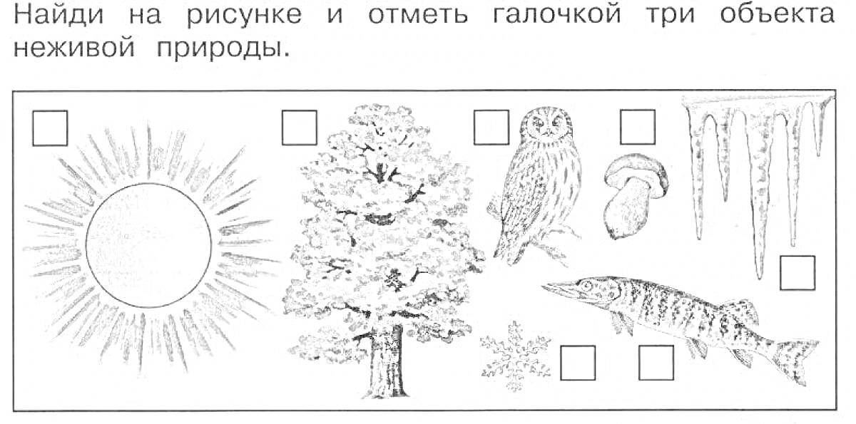 Раскраска солнце, дерево, сова, грибы, сосульки, щука, снежинка