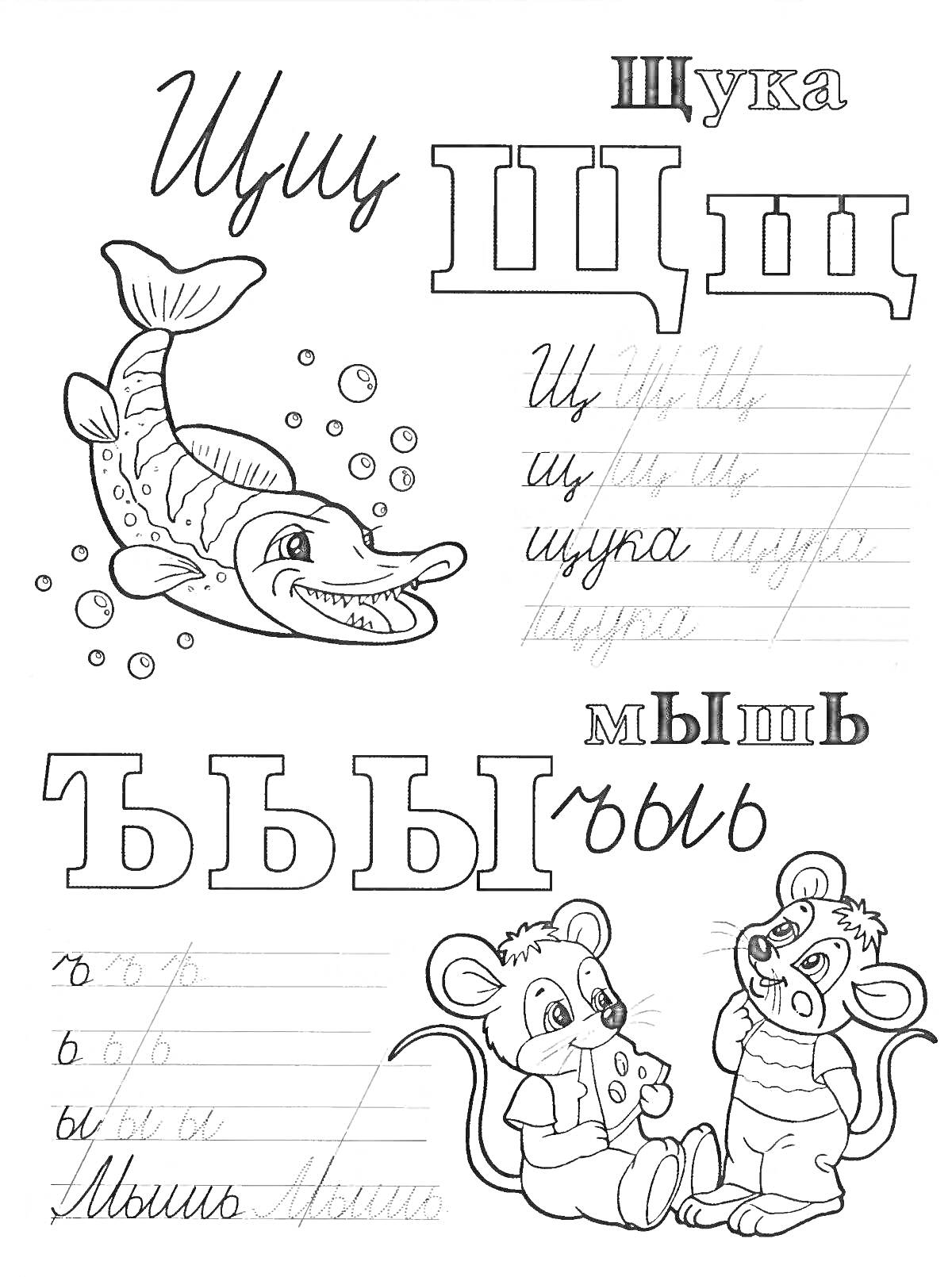 На раскраске изображено: Алфавит, Щ, Щука, Мышь, 1 класс, Обучение, Прописи