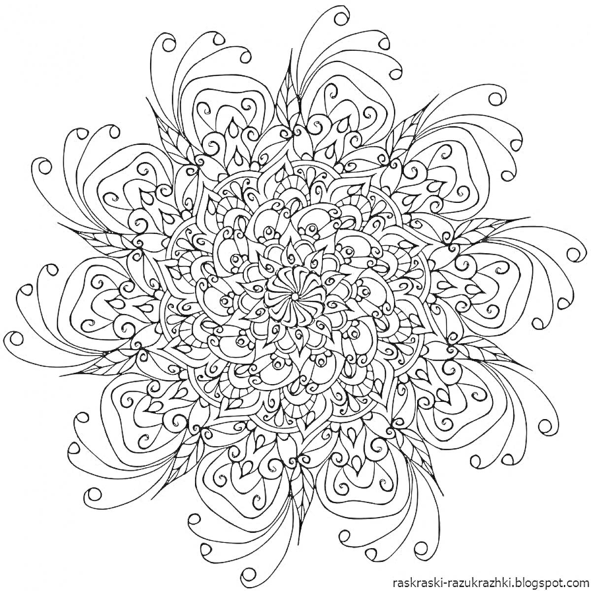 Раскраска Цветочная мандала с завитками